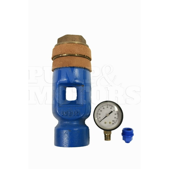 Goulds FP3-49, 3 Inch Jet Assembly Twin Packer Package for VJ10 Pumps