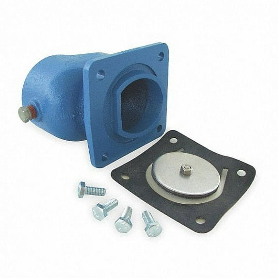 Goulds 2-1/2" Cast Iron Check Valve SPF25