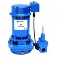 thumbnail image 1 of Goulds VJ07, Vertical Deep Well Jet Pump, VJ Series, 3/4 HP, 115/230 Volts, 1 Phase, 1-1/4" NPT Suction, 1" NPT Discharge, Cast Iron Body, 1 of 1