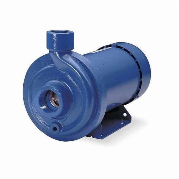 Cast Iron 1/2 HP Centrifugal Pump 115/230V 100MC1C4E0
