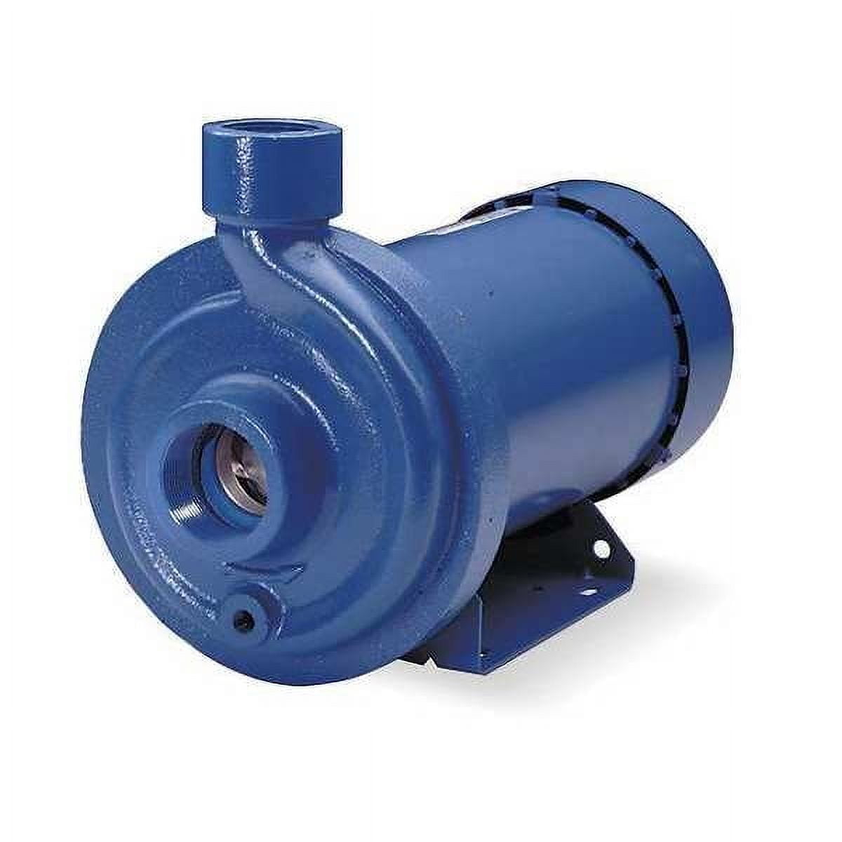 Goulds Pump,1 HP,3 Phase,Max. Head 70 ft. 100MC1E5E0