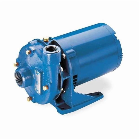 Cast Iron 2 HP Centrifugal Pump 115/230V 2BF22012