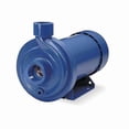 thumbnail image 1 of Goulds Stainless Steel 3 HP Centrifugal Pump 208-230/460V 100MC1H2A0, 1 of 1