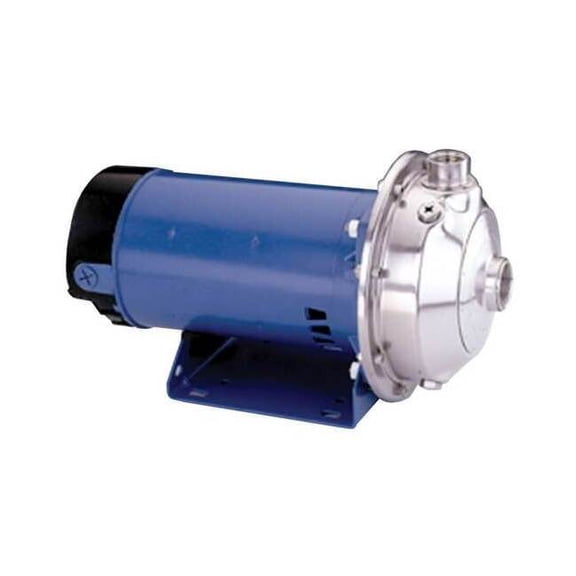 Goulds Water Technology Straight Centrifugal Pump 125MS1G5G4