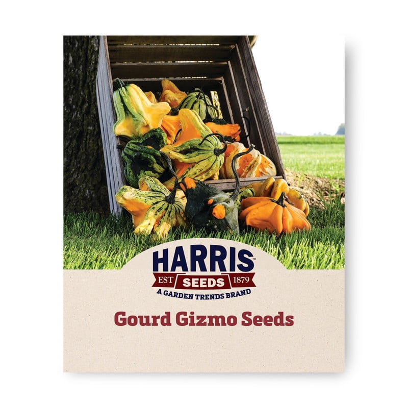 Harris Seeds Gourd Gizmo Mix , Multicolor Winged Decorative Gourds for Fall Displays, Treated, 250 Count