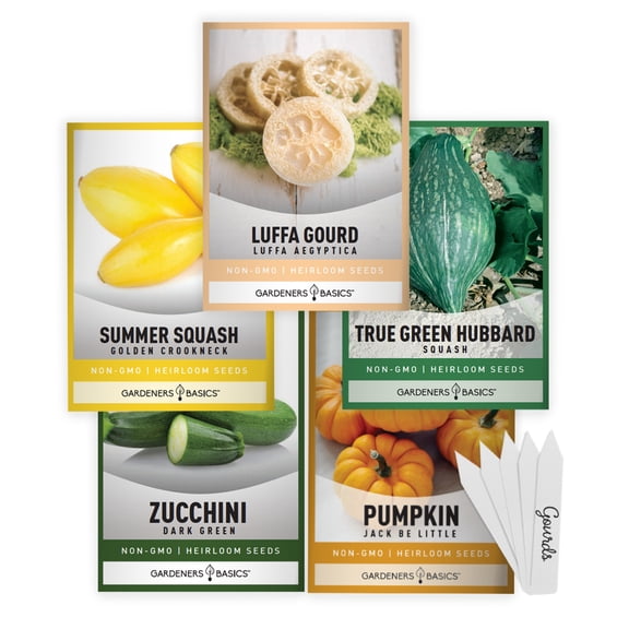 Gourd  Pumpkin Seeds | 5 Variety Pack
