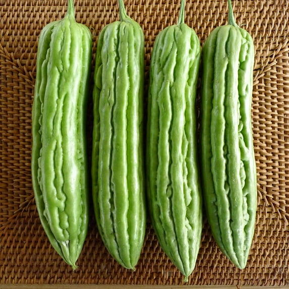 Gourd Seeds - Green Skin - 1 Lb ~2240 Seeds - Non-GMO, Heirloom - Asian Garden Vegetable