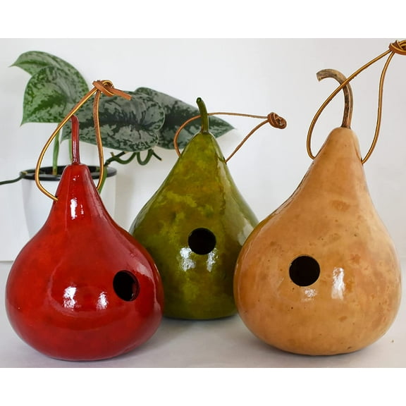 Gourd Wren House - Small - Set of 3 - Bird Lovers Gift or Mothers Day Gift