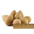 thumbnail image 1 of Gourds for Crafting - Box of 10 Egg Gourds, 1 of 3
