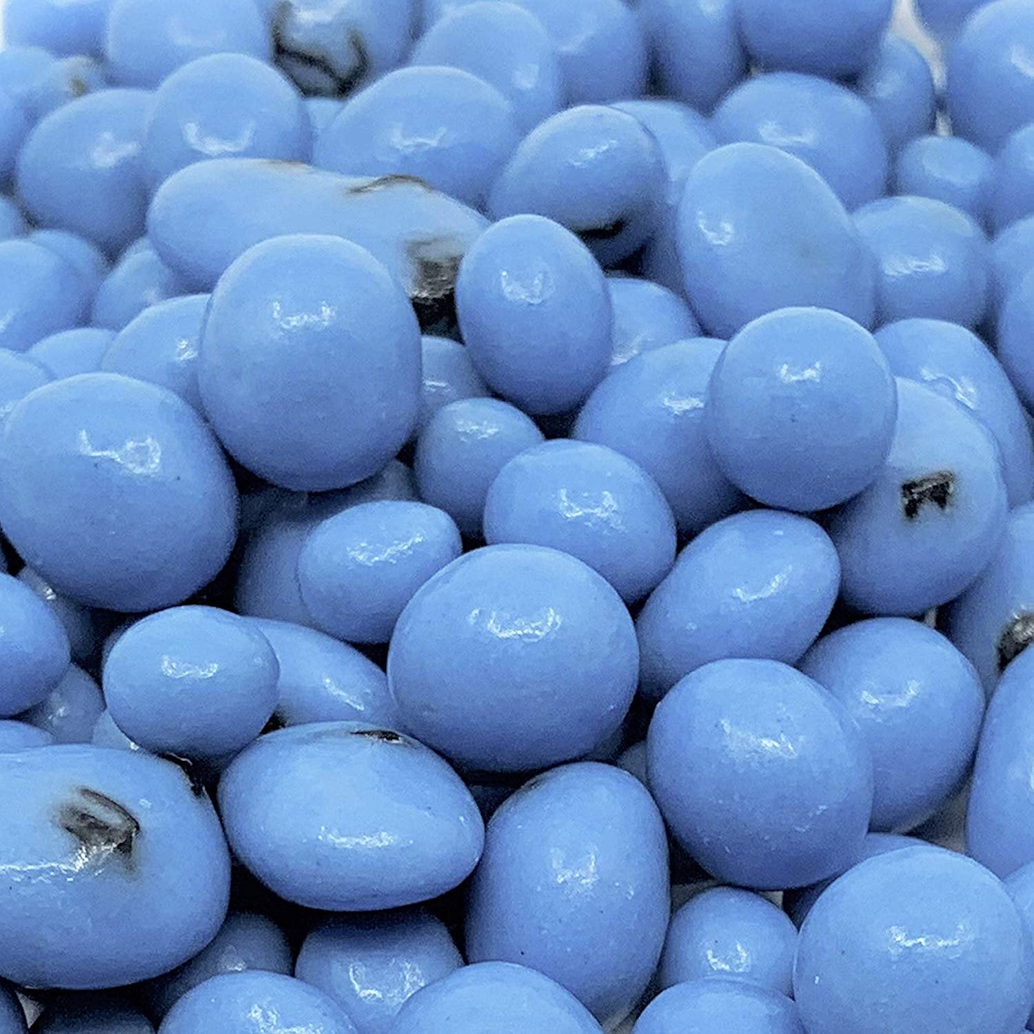 Gourmet Greek Yogurt Coated Blueberries 2 lbs