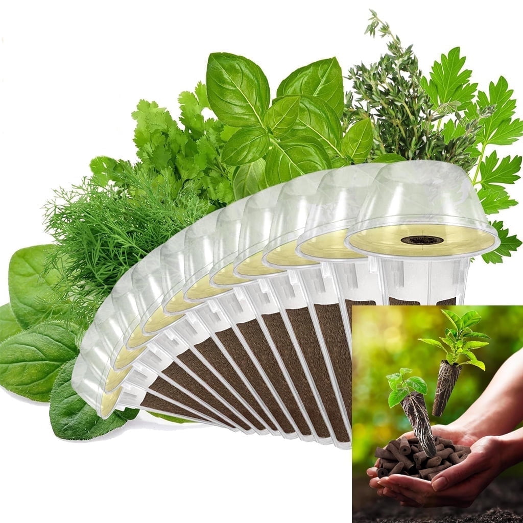 Gourmet Herb Seed Pod Kit for AeroGarden, idoo, Ahopegarden, MUFGA Hydroponics Garden with Basil, Parsley, Thyme, Mint, Cilantro, Dill, Oregano - Compatible with All Hydroponics (12-Pod)