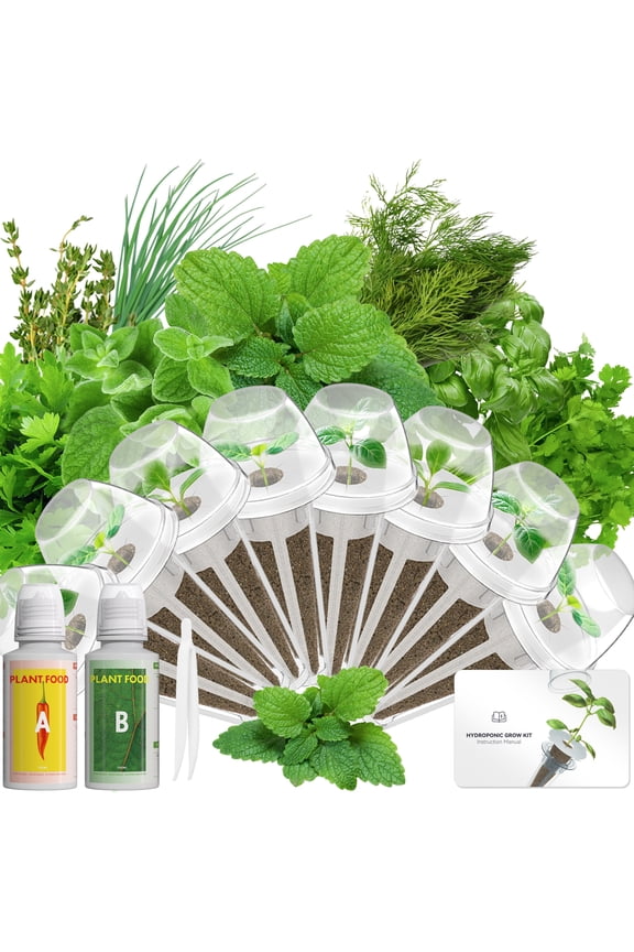 Gourmet Herb Seed Pod Kit Compatible with AeroGarden, idoo, Ahopegarden, Gardencube with Basil, Parsley, Thyme, Mint, Cilantro, Dill, Oregano, Chives - Compatible with All Hydroponics(8-Pod)