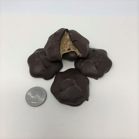 Gourmet Sugar Free Pecan Caramel Pattie Dark Chocolate Candy 1 pound