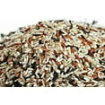 thumbnail image 1 of Gourmet Wild Rice Blend (Wild, Black, Brown, & Red) GMO free - 1 LB, 1 of 1