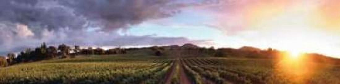 Gout de Terroir Canvas Art - Christopher Foster (8 x 24)