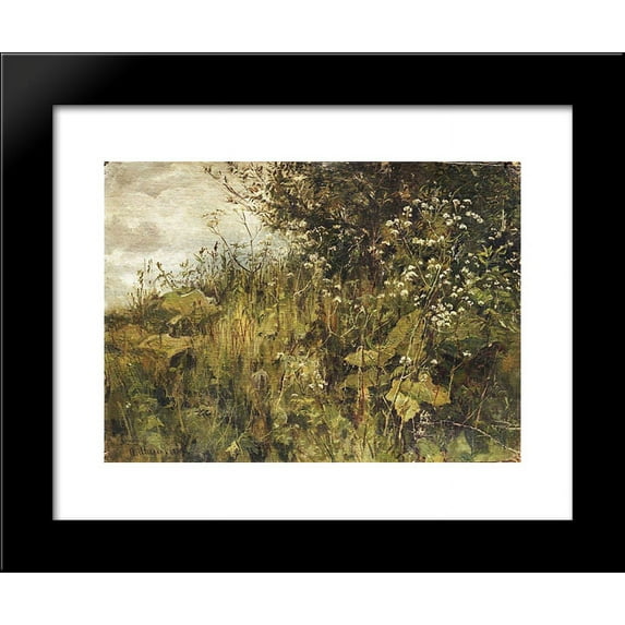 Goutweed-grass 20x24 Framed Art Print by Ivan Shishkin
