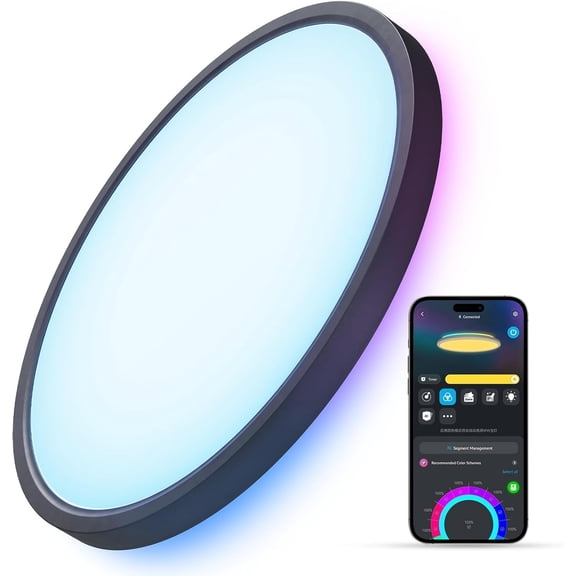 Govee Smart Ceiling Light, RGBIC LED Ceiling Light Fixture, 2400LM Flush Mount Light Fixture, DIY Colors, Works with Alexa, 2200K-6500K Ceiling Lights for Bedroom, Living Room, 12 Inch, 1 Pack,Black