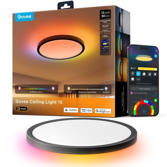 Govee Smart 12in RGBWW+RGBIC Ceiling Light Black