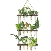 Gowinsee Plant Propagation Tubes, 3 Tiered Wall Hanging Plant Terrarium with Wooden Stand Mini Test Tube Flower Vase Glass Planter for Hydroponic Plant Cutting Garden Office Decor Plant Lover Gift