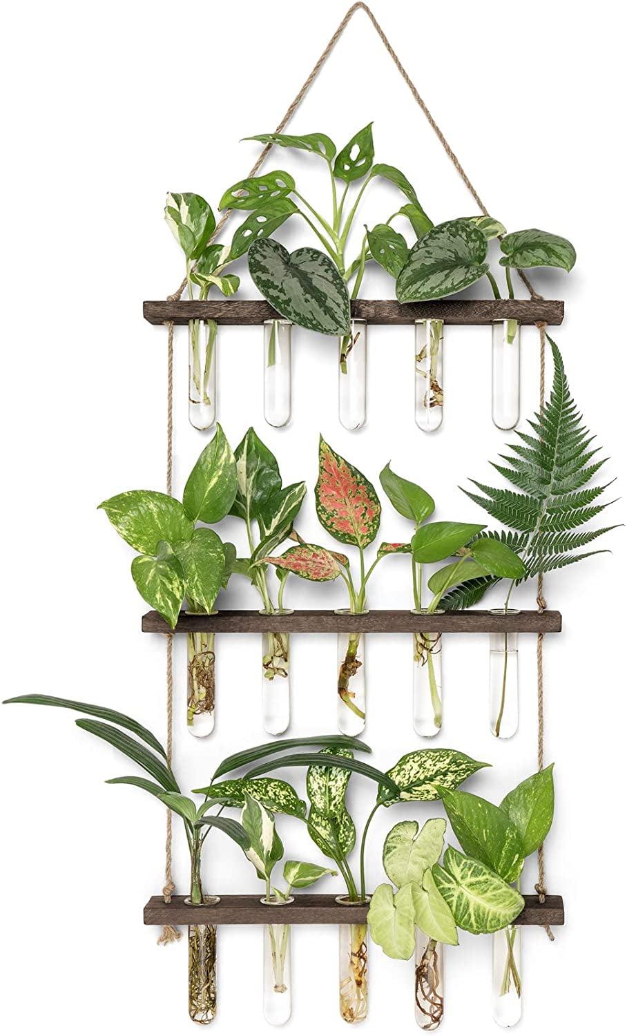 Gowinsee Plant Propagation Tubes with Wooden Stand and 15 Test Tubes (3 Count)