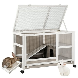 Bunny supplies near me 2025