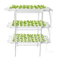 Goxfaca Vertical Hydroponic System Indoor Planting Kit With Water Pump