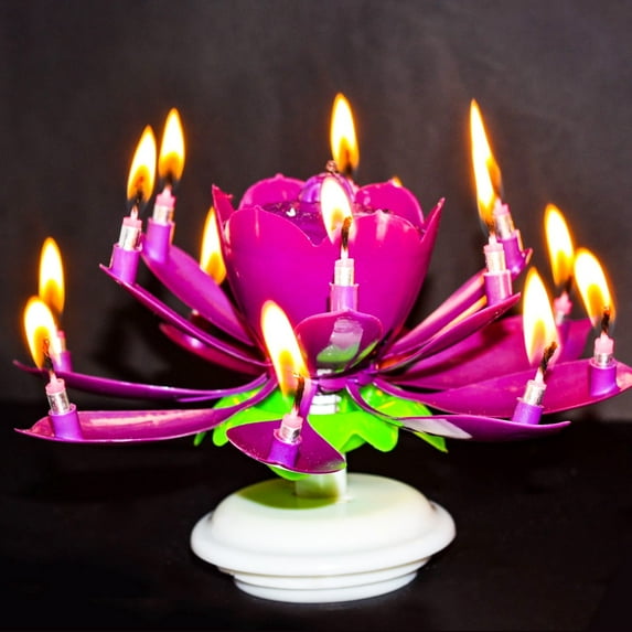 Goyunwell 2-Piece Flower Lotus Music Rotatable Birthday Candles, Pink