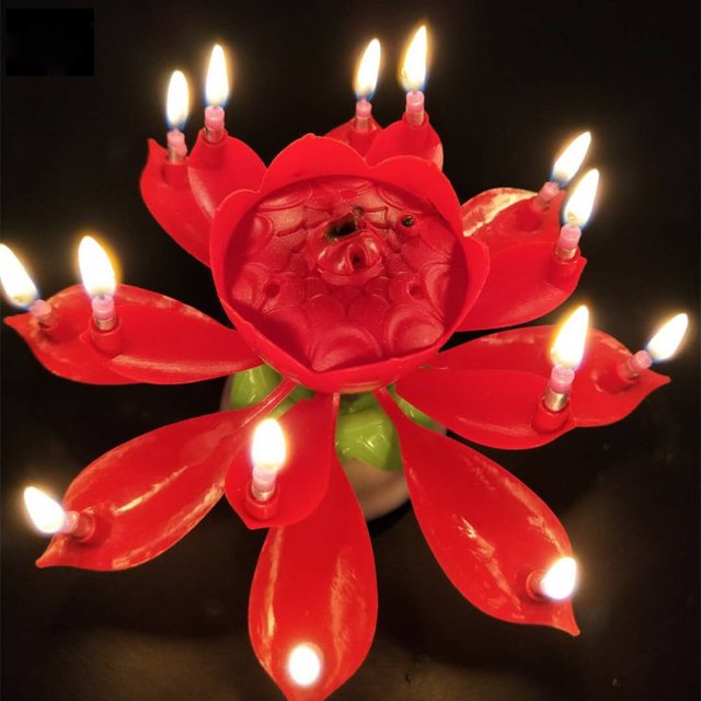 Goyunwell Rotating Party Light Birthday Candles, Musical Lotus Flower, Double Layers, 14 Red
