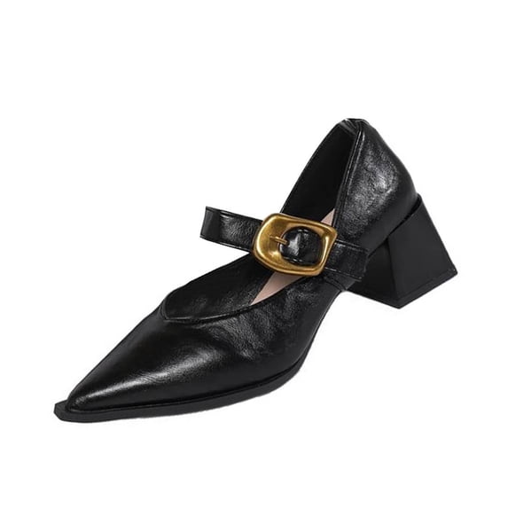 Gpaecead Women Block Heel Mary Jane Shoes Pointed Toe Faux Leather Adjustable Buckle Strap Spring Fall Versatile Casual Shoes, Black
