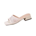 thumbnail image 1 of Gpaecead Women Sequin Lace Chunky Heel Mules Square Toe Backless Spring Summer Party Wedding Fairy Style Shoes,White, 1 of 8