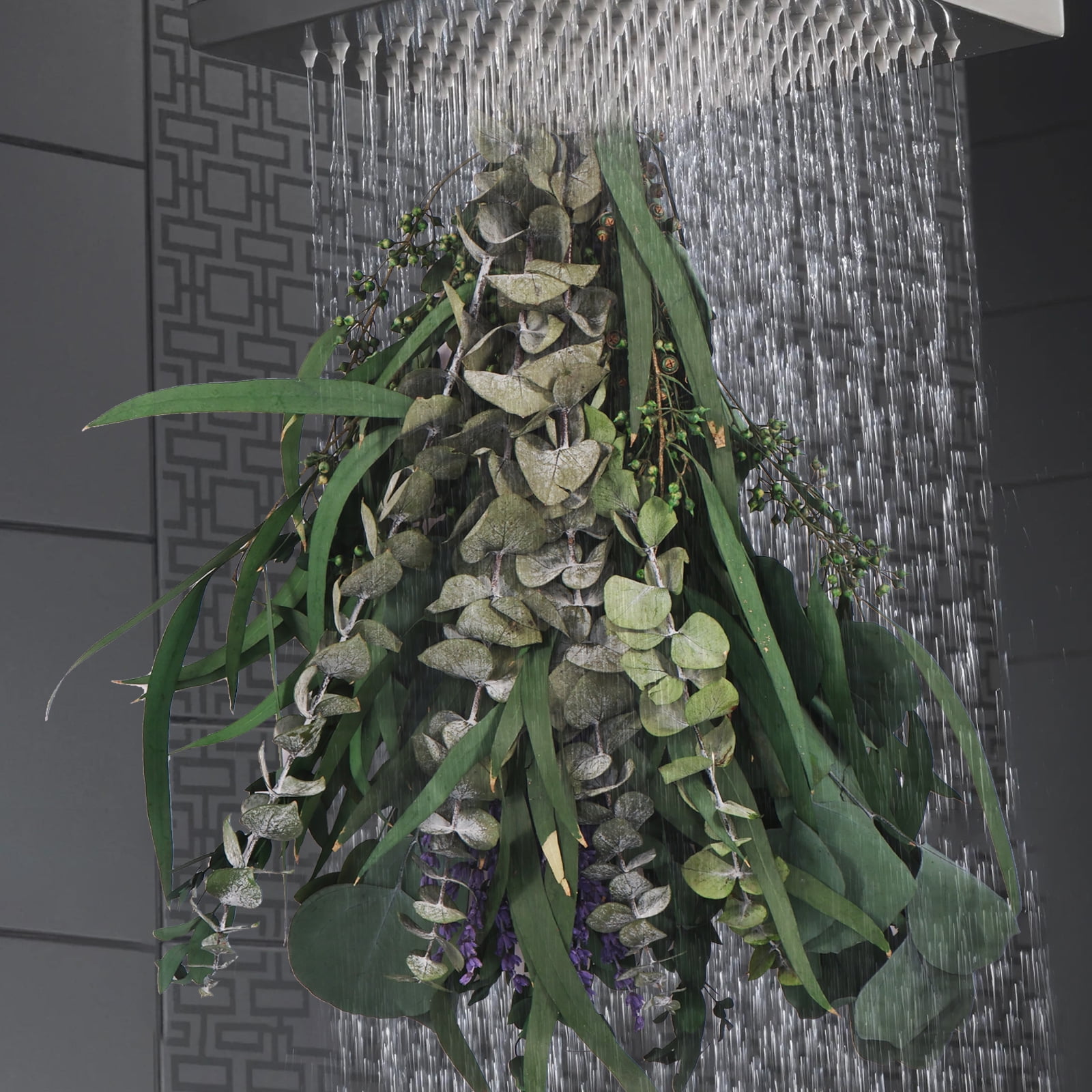 Gpoty 25 PCS Mixed Real Dried Eucalyptus Stem Eucalyptus for Shower,Hanging from Bathroom Spray