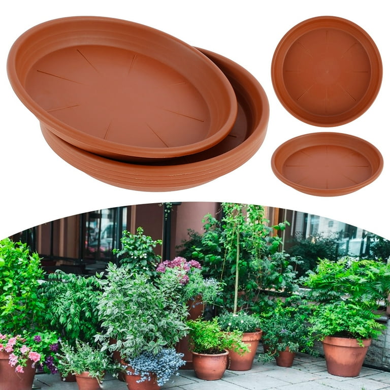 Plant saucer deals
