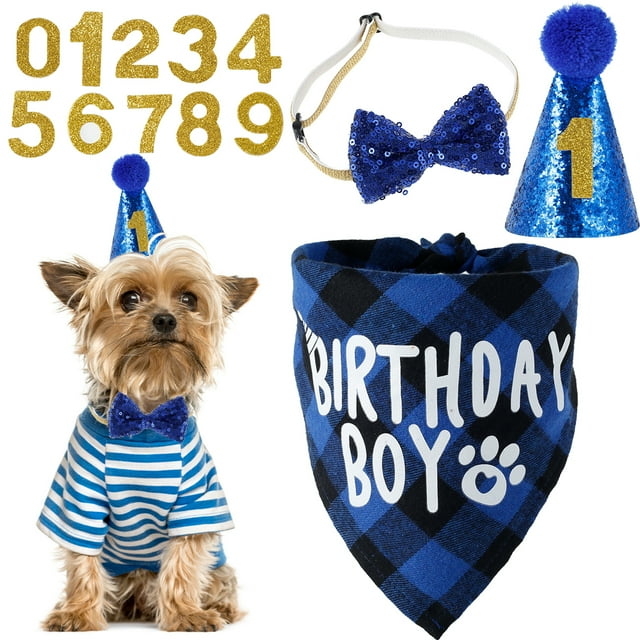 Gpoty Dog Birthday Party Supplies Cute Birthday Boy Dog Bandana ...