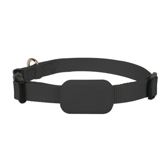 Gps Collar for Dogs | Waterproof Dog Collar Smart Dog Collar Gps Tracking | for Small Medium Large Dogs, Compatible with Ios, Black Dog Collar