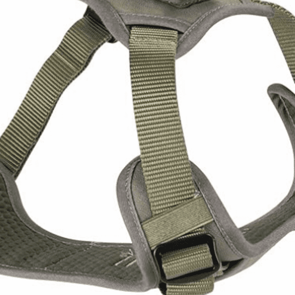 Grab Dog Harness | Integrated Traffic Leash Magnetically Attached for Quick Control (XL/Green)
