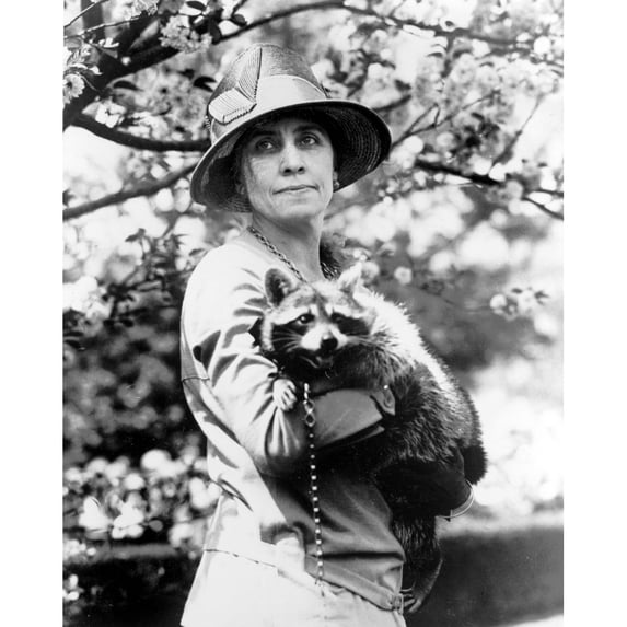 Grace Coolidge History Poster Print