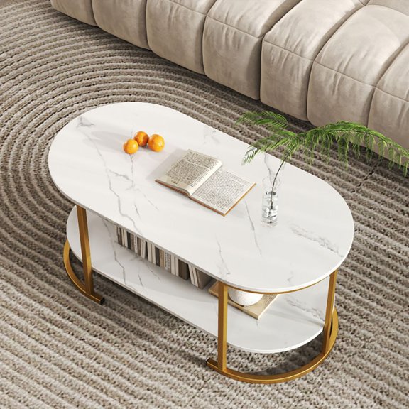 Grace Paws Marble Coffee Table with Open Storage Shelf