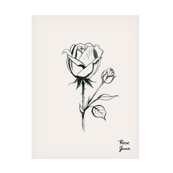 Grace Popp 'Annual Flowers VI' Canvas Art