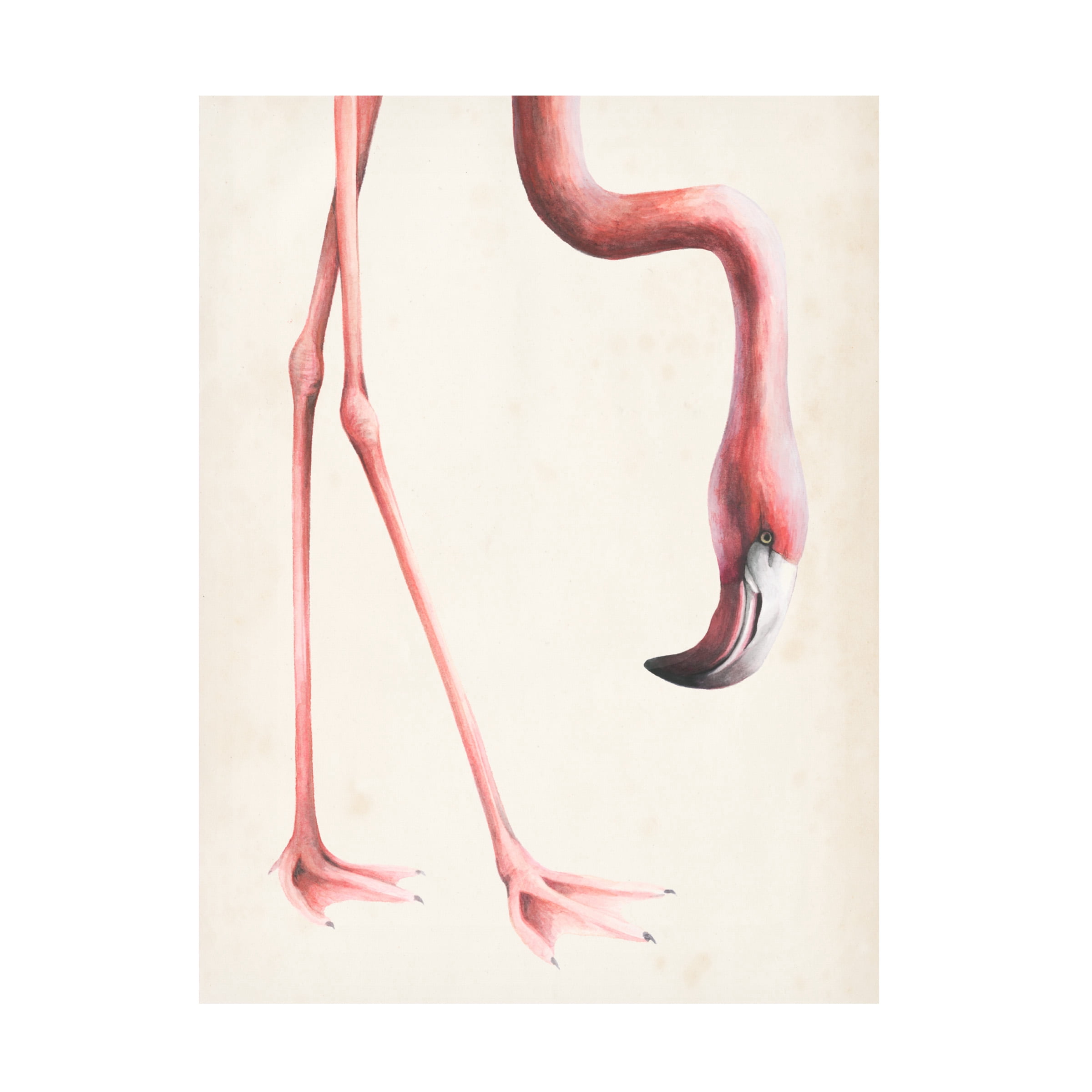 Grace Popp 'At Your Feet I' Canvas Art