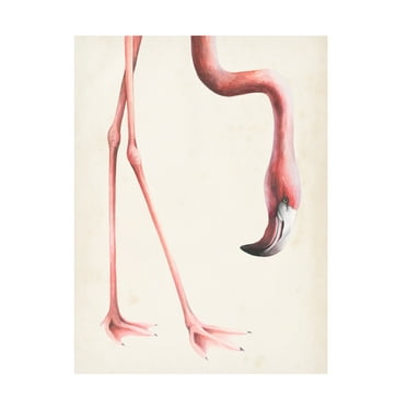 Grace Popp 'At Your Feet I' Canvas Art