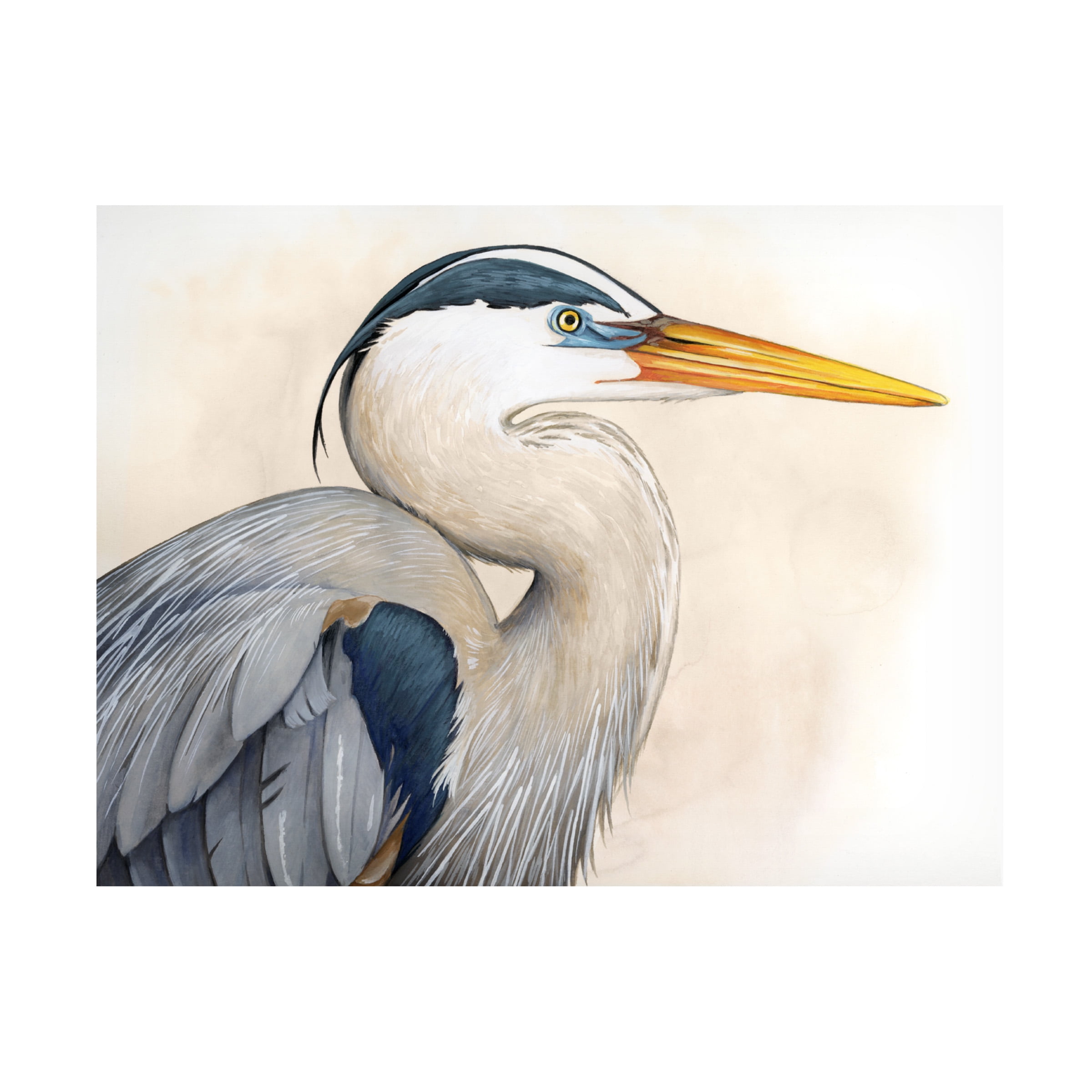 Blue Heron Watercolor Portrait Canvas Art 14 x 19