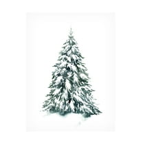 Grace Popp 'Blue Spruce II' Canvas Art
