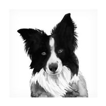 Grace Popp 'Border Collie I' Canvas Art