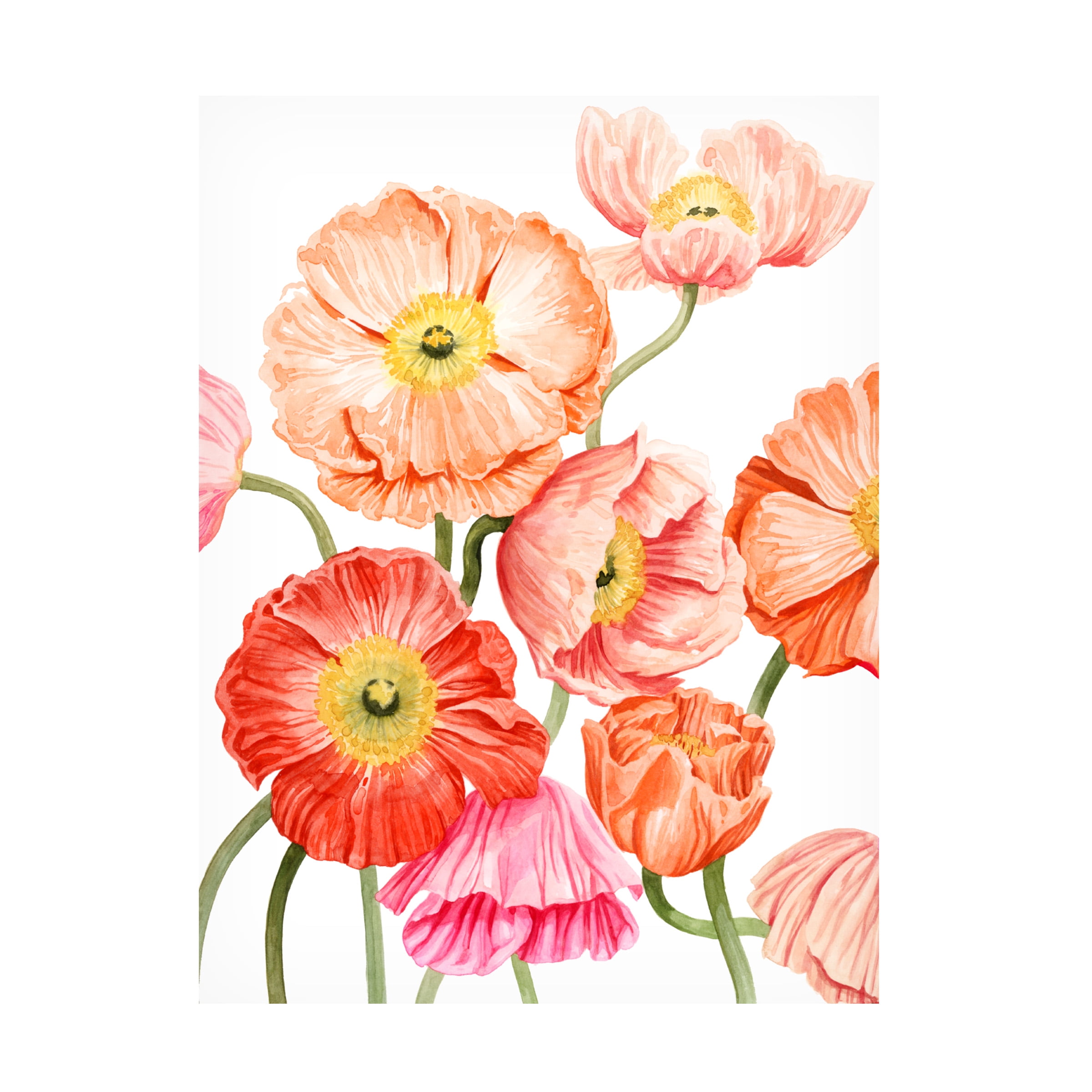 Grace Popp Bright Poppies Canvas Art in Red and Green