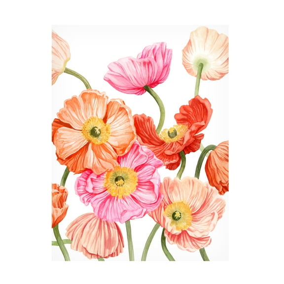Grace Popp 'Bright Poppies II' Canvas Art