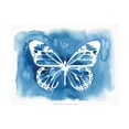 thumbnail image 1 of Grace Popp 'Butterfly Inkling II' Canvas Art, 1 of 3