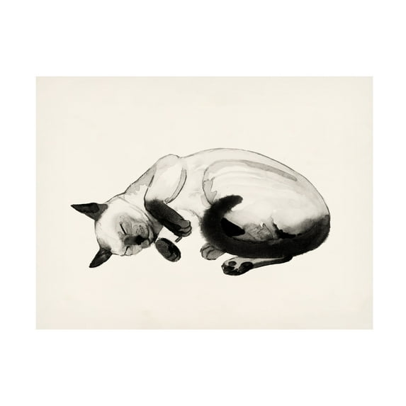 Grace Popp 'Cat Laze III' Canvas Art