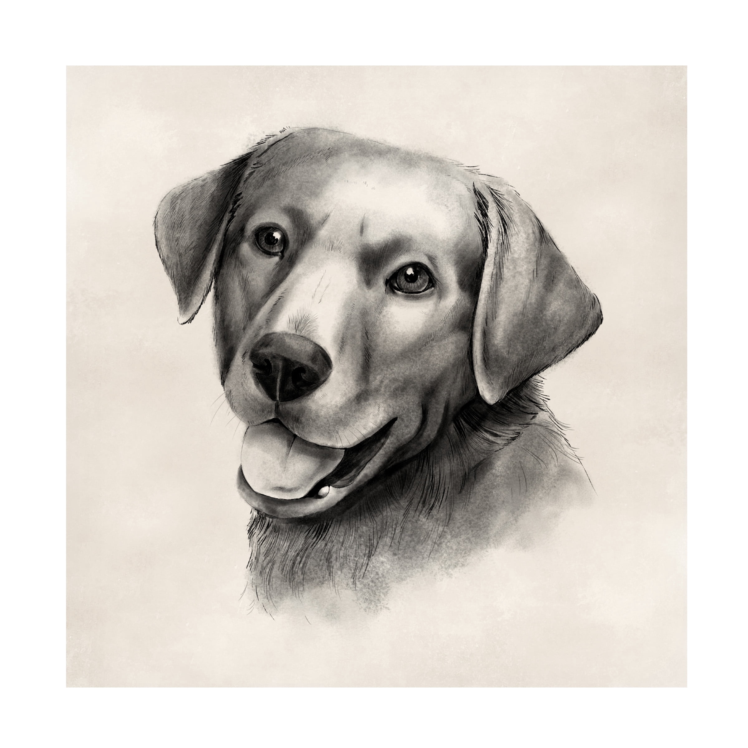 Grace Popp 'Charcoal Labrador II' Canvas Art