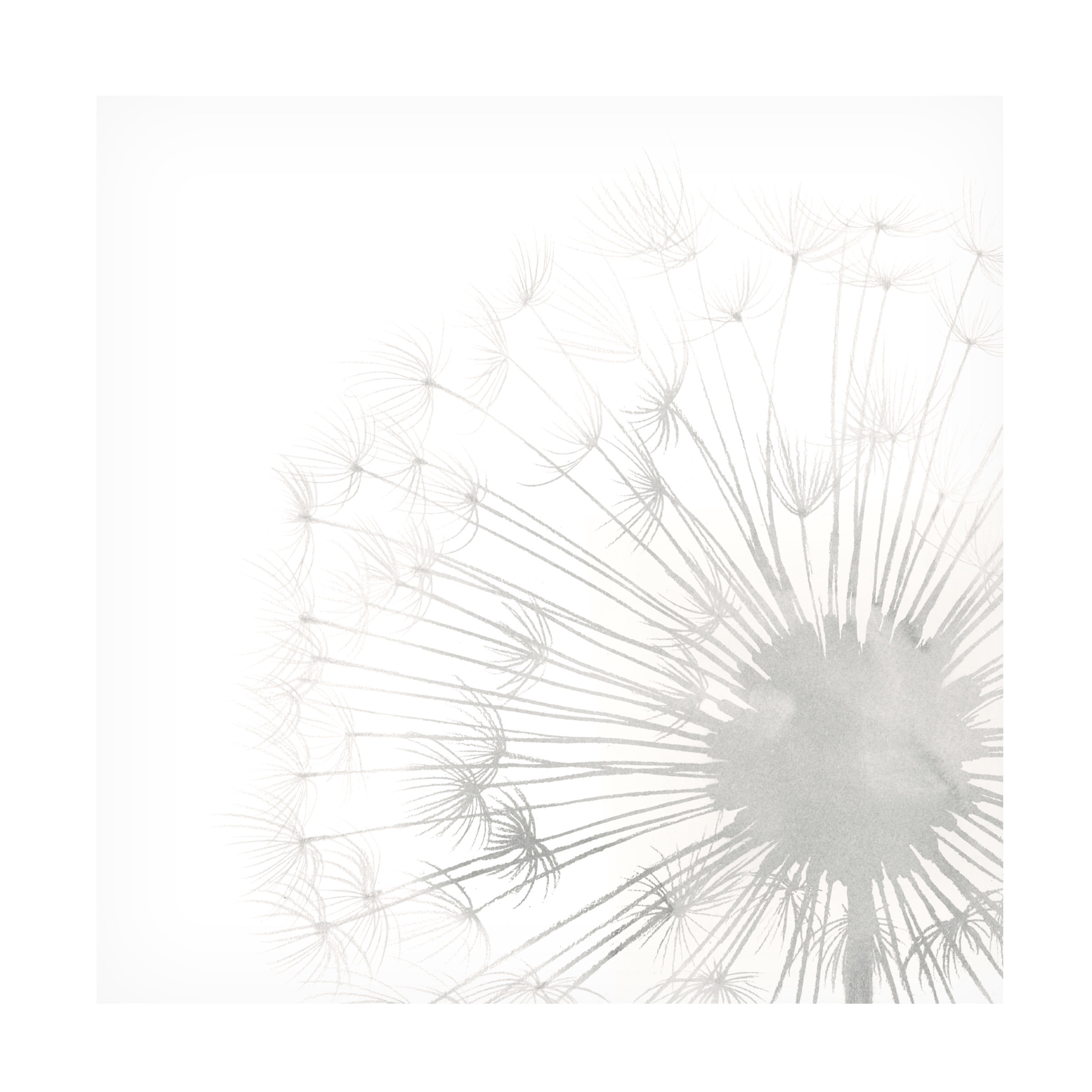 Grace Popp 'Dandelion Whisper II' Canvas Art