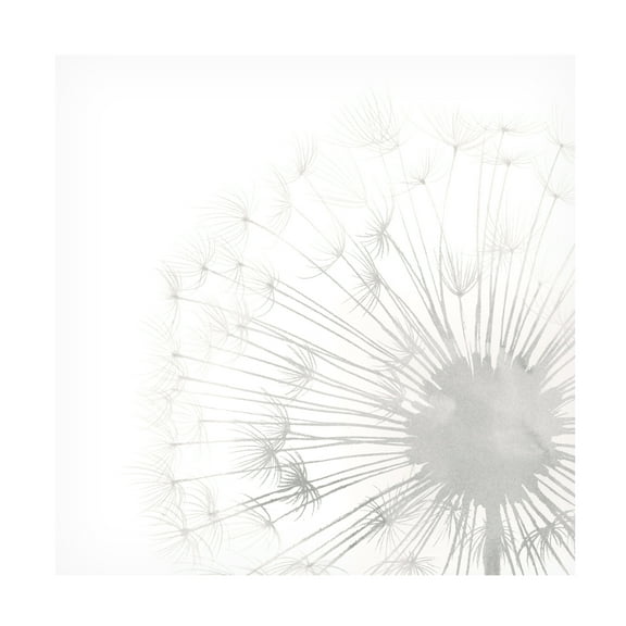 Grace Popp 'Dandelion Whisper II' Canvas Art